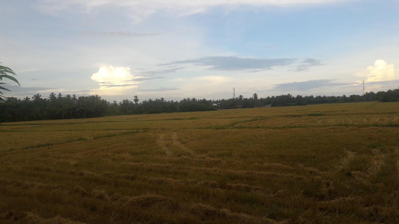 The Cool Nest Yala Hotel Tissamaharama Bagian luar foto